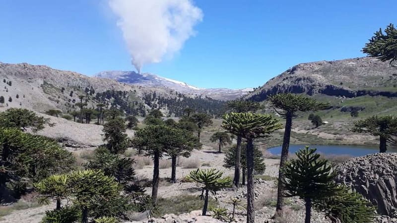 El Volcán activo Copahue es un distintivo de la región