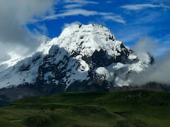 Descubren una nueva especie de escarabajo a más de 3,700 metros sobre el nivel del mar: demuestran la adaptación al ambiente para sobrevivir a grandes altitudes
