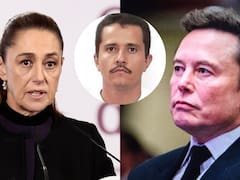 Cayó El Mencho y Elon Musk dice que Claudia Sheinbaum protege al crimen organizado: “Sus jefes son los carteles como CJNG”