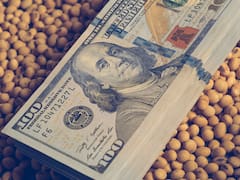 El cultivo que deja de ser secundario y cambia la ecuación exportadora