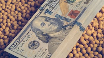 El cultivo que deja de ser secundario y cambia la ecuación exportadora