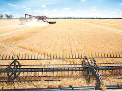 Alerta en los mercados: El Niño amenaza a los commodities clave para la economía mundial