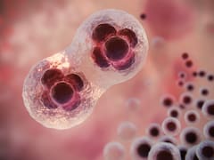 Científicos desafían a la muerte y hallan el “santo grial” de la ciencia: permite revivir especies extintas de 10.000 años de antigüedad