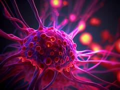 El fin de la biología: científicos descubren una paradoja en la evolución que cambia todo lo que sabemos sobre las células