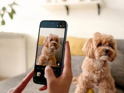 Los megapíxeles ya no alcanzan: la nueva característica que define a los celulares premium