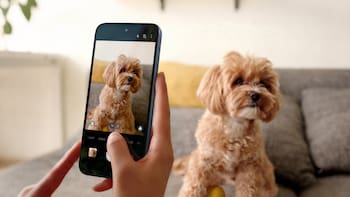 Los megapíxeles ya no alcanzan: la nueva característica que define a los celulares premium