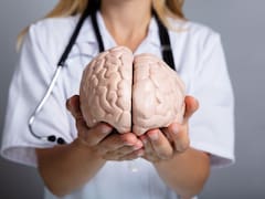 Lo que sabemos del cerebro humano, en jaque: científicos de Standford plantean un nuevo modelo sobre cómo se desarrolla