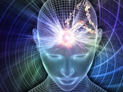 Existen 4 tipos de mente según la neurociencia: cómo identificar el tuyo y qué dice de tus decisiones