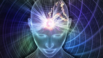 Existen 4 tipos de mente según la neurociencia: cómo identificar el tuyo y qué dice de tus decisiones