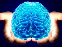 El gran “reinicio” del cerebro sale a la luz: comienza desde el primer día de vida y define quiénes seremos para siempre