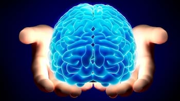 El gran “reinicio” del cerebro sale a la luz: comienza desde el primer día de vida y define quiénes seremos para siempre