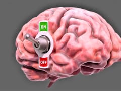 Hallazgo del siglo | Descubren un “interruptor” en el cerebro capaz de crear buenos y malos hábitos