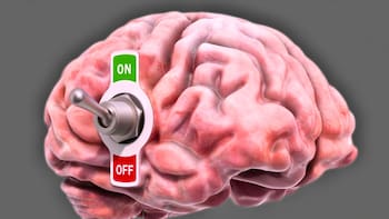 Hallazgo del siglo | Descubren un “interruptor” en el cerebro capaz de crear buenos y malos hábitos