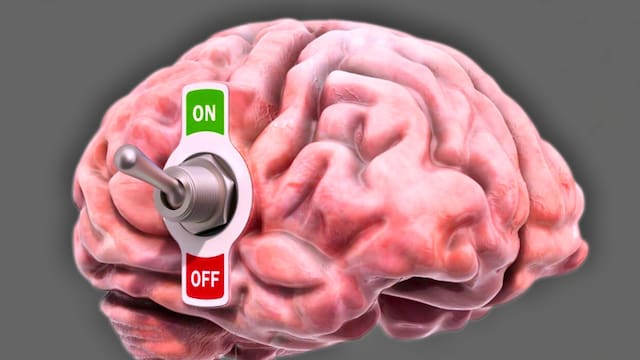 Hallazgo del siglo | Descubren un “interruptor” en el cerebro capaz de crear buenos y malos hábitos