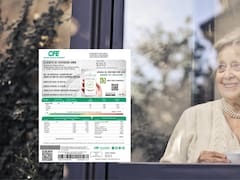 Ya es un hecho: la CFE hará visitas domiciliarias para revisar los medidores de luz a los mexicanos que cumplan esta condición