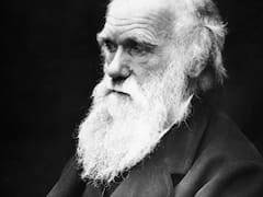 Charles Darwin, científico: “No es la especie más fuerte la que sobrevive, ni la más inteligente, sino la que mejor se adapta al cambio”