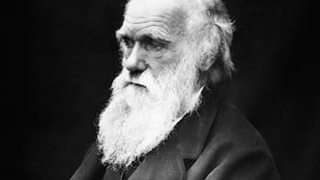 Charles Darwin, científico: “No es la especie más fuerte la que sobrevive, ni la más inteligente, sino la que mejor se adapta al cambio”