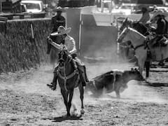 ¡Charros! | IP invertirá 3,500 MDP en Hidalgo para un destino de lujo dedicado a la charrería