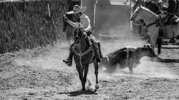 ¡Charros! | IP invertirá 3,500 MDP en Hidalgo para un destino de lujo dedicado a la charrería