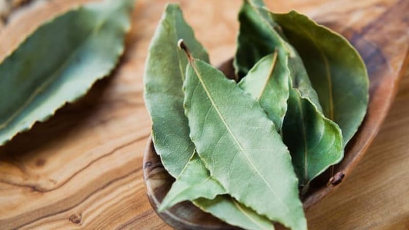 Chau inflamación y mala digestión: las 5 propiedades curativas del laurel confirmadas por la ciencia