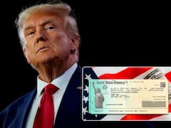 Confirmaron el nuevo cheque de estímulo 2026: cuándo llegan los depósitos y quiénes acceden al dinero