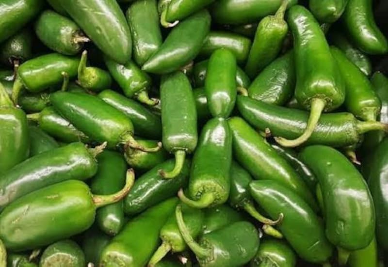 Chile jalapeño.