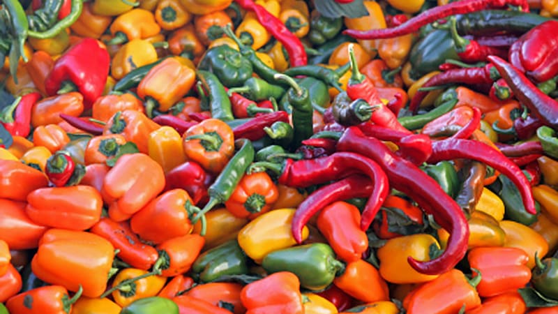 Variedades de chile.