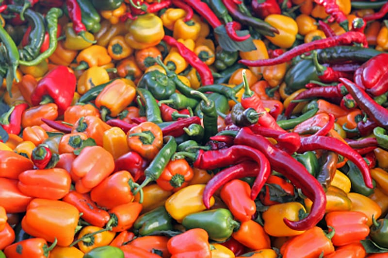 Variedades de chile.