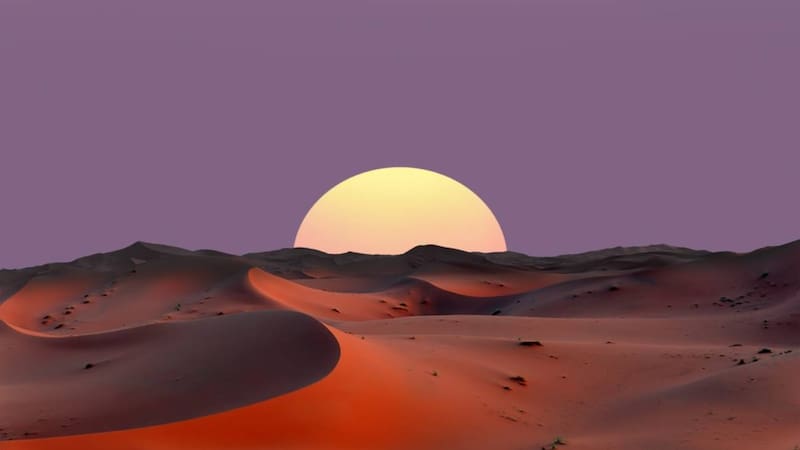 El Sáhara llegó a 70 °C, murieron miles de millones de árboles y abejas pero una técnica detuvo la extinción de la vida en el desierto. (Fuente: Shutterstock).