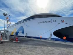 Buquebus en problemas: mientras enfrenta una condena millonaria, se reflotan los planes de un puente entre Argentina y Uruguay