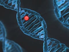 Científicos crean el “ChatGPT de las proteínas”: cómo funciona la herramienta que puede cambiar la medicina para siempre