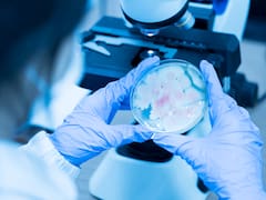 El verdadero hallazgo del siglo: científicos crean con inteligencia artificial virus que no existen en la naturaleza