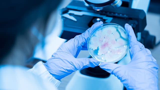 El verdadero hallazgo del siglo: científicos crean con inteligencia artificial virus que no existen en la naturaleza