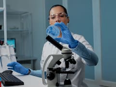 Científicos argentinos crearon “HyperSperm”, una tecnología que revoluciona la fertilización y la posibilidad de embarazo