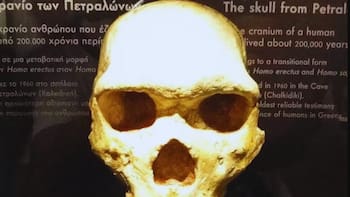 Hallaron un “cráneo híbrido” de 140,000 años en Israel: ningún científico puede explicar a qué especie pertenece