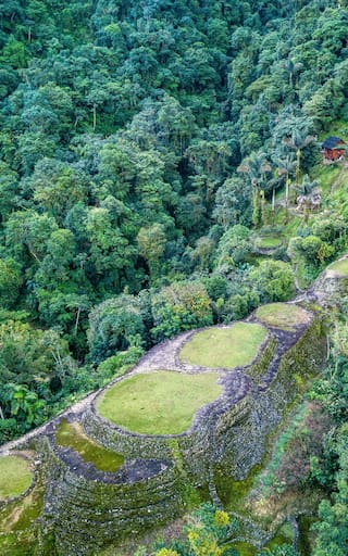 La ciudad perdida de Colombia que está escondida en la selva: tiene más de 1000 años de historia y solo se puede llegar caminando