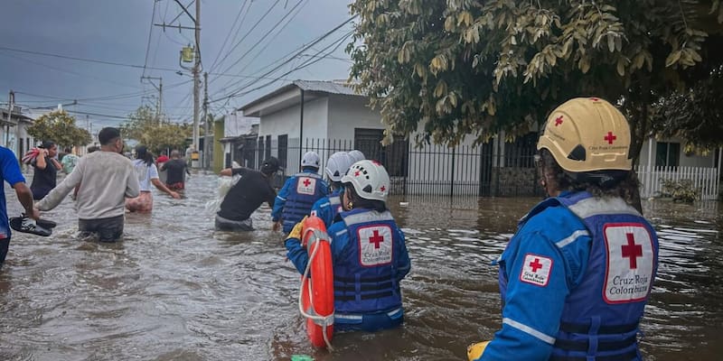 El modelo de ciudades esponja implementa un cambio en la forma de gestionar el agua en las ciudades.