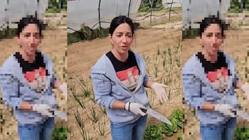 Clara, agricultora en España: “Prefiero tirar mi cosecha antes que me paguen la mitad de lo que vale”