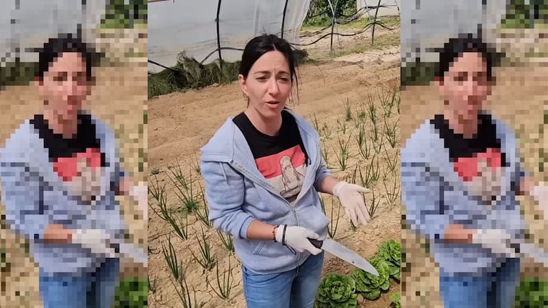Clara, agricultora en España: "Prefiero tirar mi cosecha antes que me paguen la mitad de lo que vale"