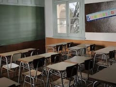 Se confirma la peor noticia y lloran todos los empleados y estudiantes: cancelan el feriado del Día de la Bandera en todo el país