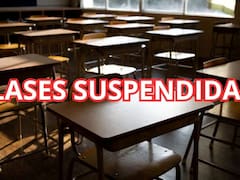 Confirmado por Educación | El Gobierno decretó que no habrá clases por 14 días en preescolar, primaria y secundaria en junio