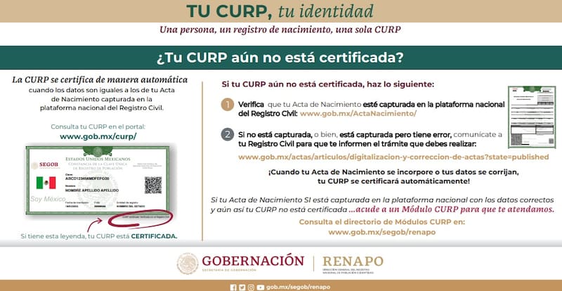Revisa que tu CURP esté certificada antes de iniciar el trámite de las Becas Bienestar. Fuente: Gobierno de México.