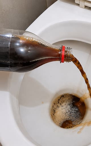 Arrojar Coca Cola al inodoro: por qué muchos lo utilizan y para qué sirve