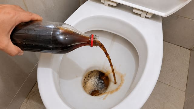Tirar gaseosa al inodoro: para qué sirve y por qué lo recomiendan