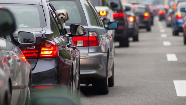 Menos del 10% de los españoles decide comprar un eléctrico por las ayudas del Gobierno