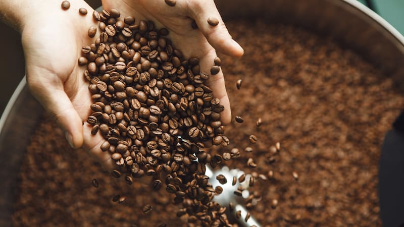 Los acuerdos reducirán los costos de café importado de Guatemala y Colombia, además de bananas y cacao de Ecuador. Foto: Archivo.