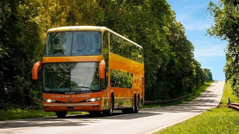 Una reconocida empresa de colectivo suspendió su venta de pasajes a Buenos Aires: qué servicio estará afectado.