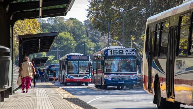 Colectivos gratis: cómo solicitar el beneficio del gobierno para viajar todo el año sin pagar un peso
Fuente: Archivo