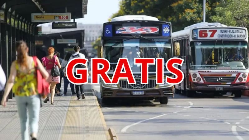 Colectivos gratis: cómo solicitar el beneficio del gobierno para viajar todo el año sin pagar un peso
Fuente: Canva