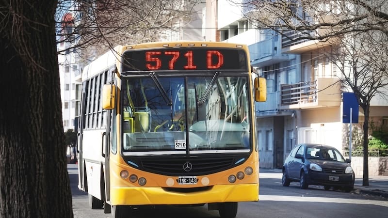 Cuenta DNI permite viajar gratis en colectivo en Mar del Plata.
